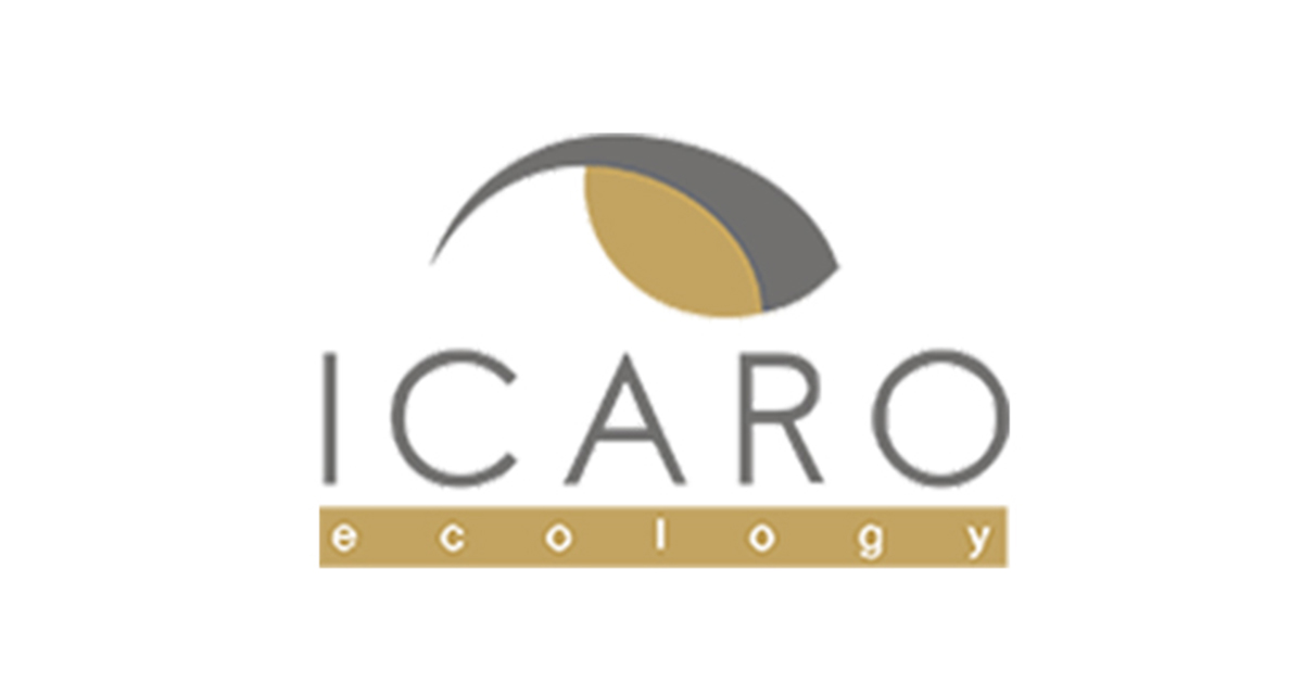 logo icaro ecology s.p.a. gela