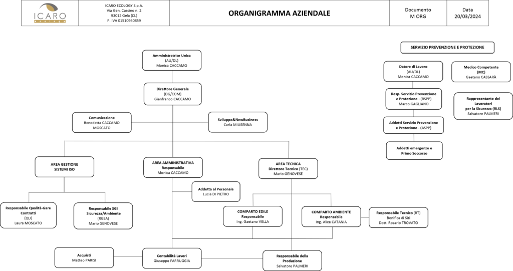 Icaro Ecology industrial and civil construction environmental reclamation renewable energy organization chart