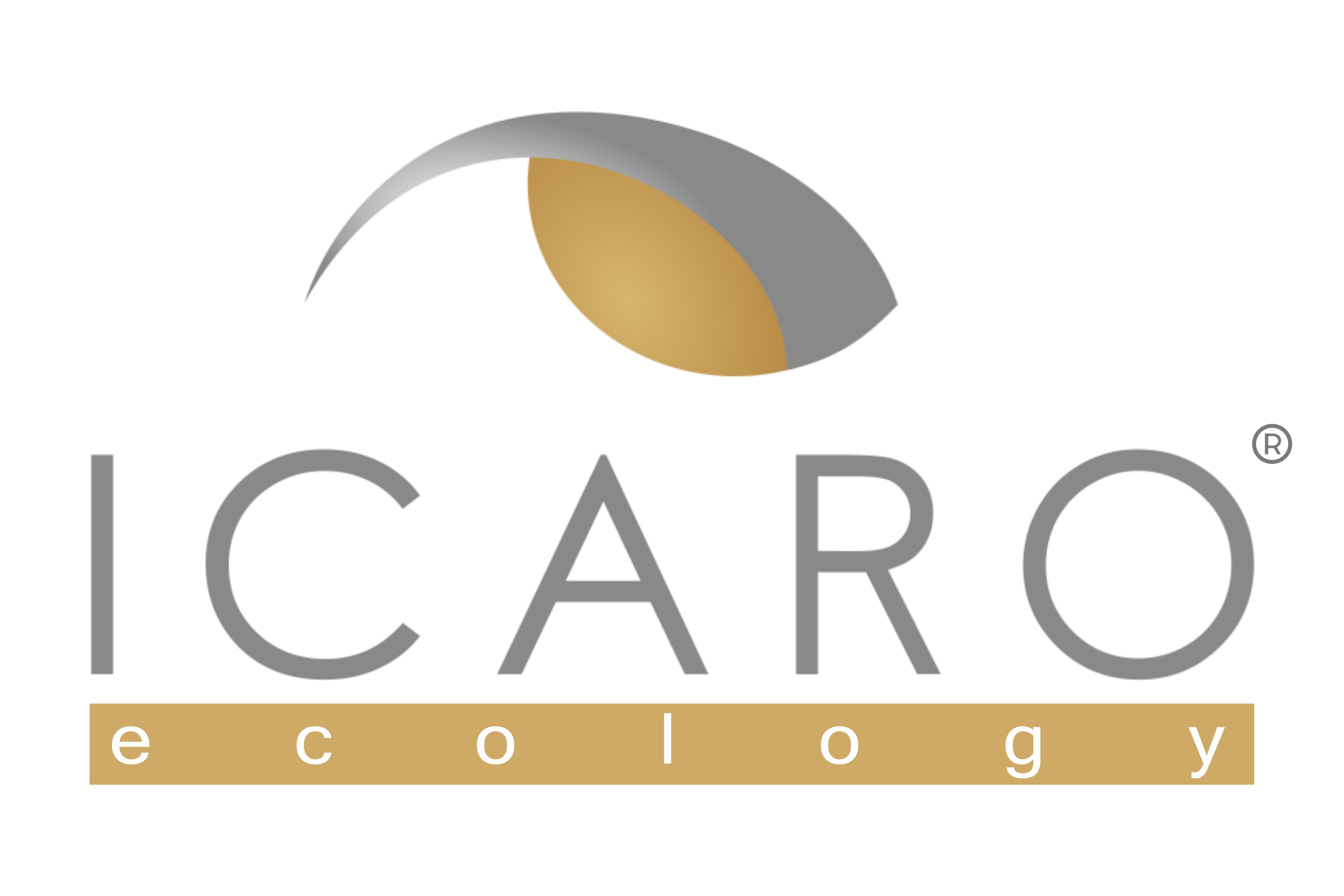 logo icaro ecology s.p.a. freezes